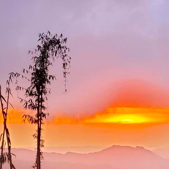 Meet your Posher - Picture 1 of 2